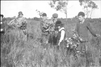 wildflowers_1925.jpg