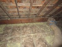 ceiling_insulation-1.jpg